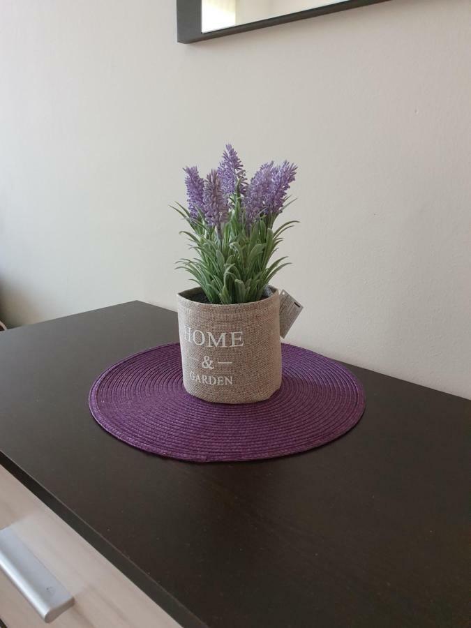 Orchid Studio Złote Piaski Zewnętrze zdjęcie